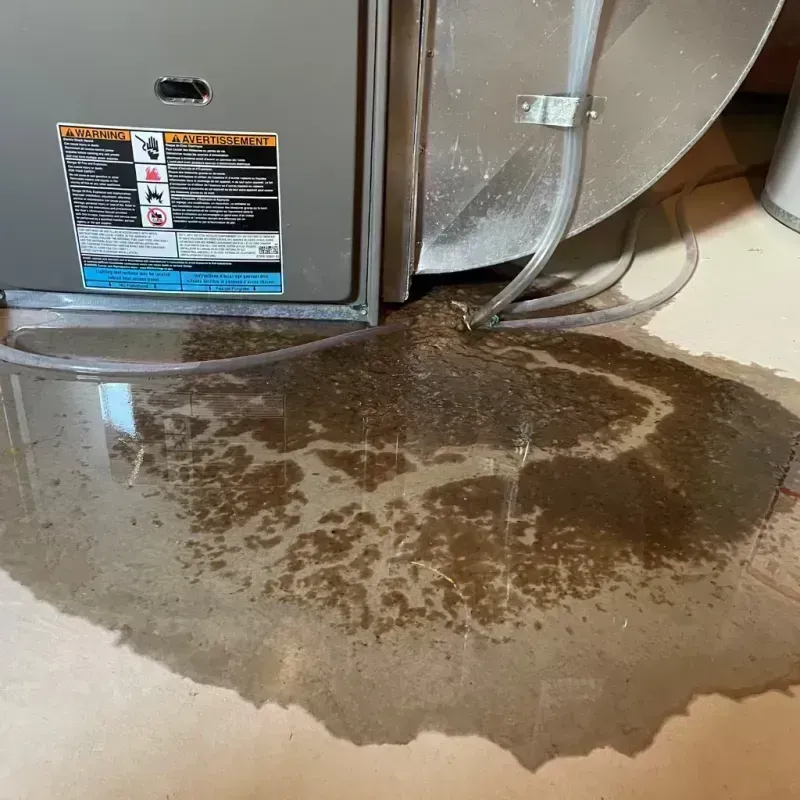 Appliance Leak Cleanup in Warrensburg, MO